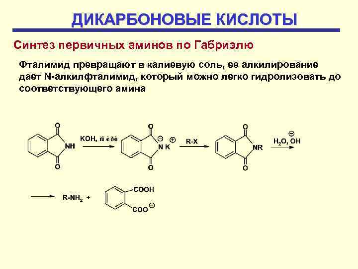 Первичный синтез. Синтез Аминов по Габриэлю. Фталимид Синтез. Синтез первичных Аминов по Габриэлю. Фталимид реакции.