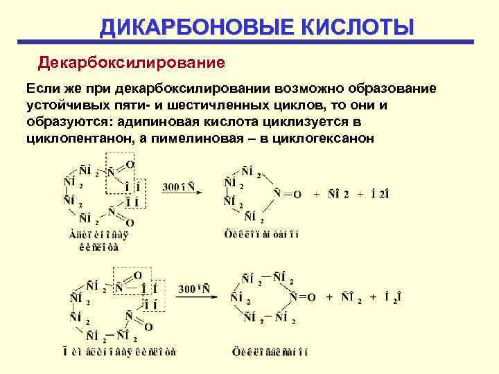 Дикарбоновые кислоты презентация