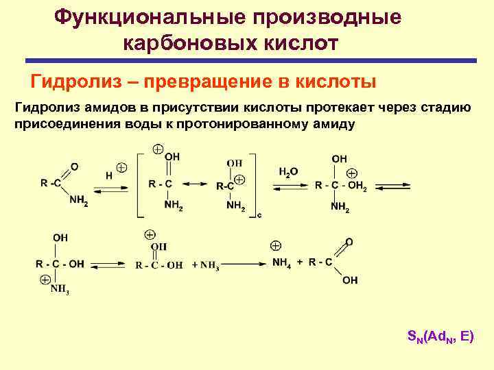 Функциональные производные карбоновых кислот Гидролиз – превращение в кислоты Гидролиз амидов в присутствии кислоты
