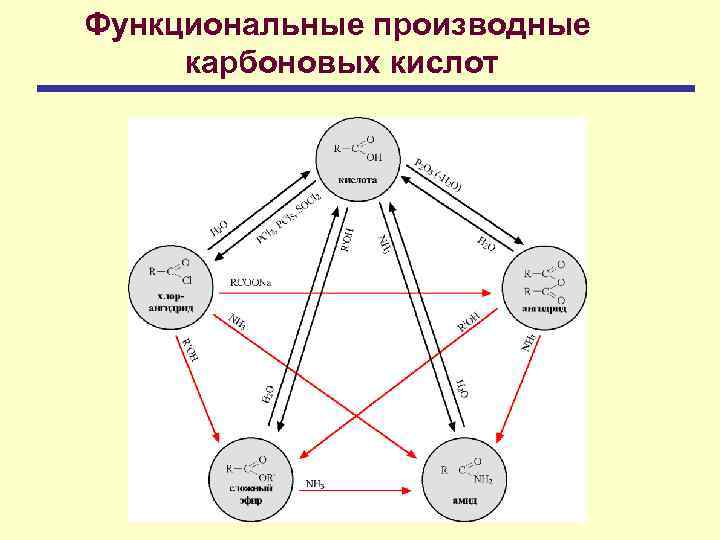 Функциональные производные карбоновых кислот 