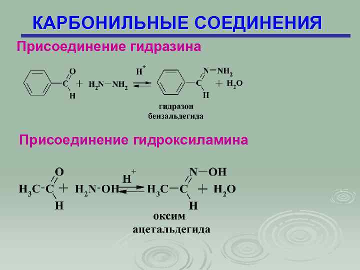 КАРБОНИЛЬНЫЕ СОЕДИНЕНИЯ Присоединение гидразина Присоединение гидроксиламина 