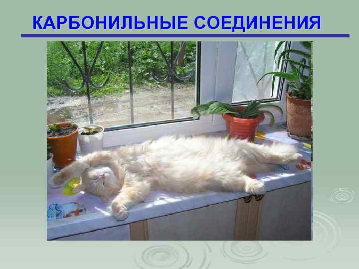 КАРБОНИЛЬНЫЕ СОЕДИНЕНИЯ 