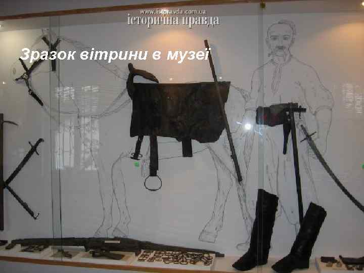 Зразок вітрини в музеї 