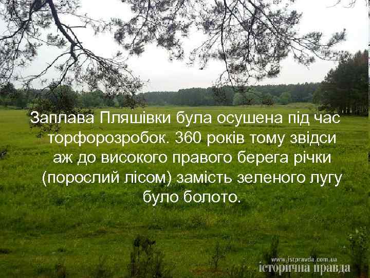 Заплава Пляшівки була осушена під час торфорозробок. 360 років тому звідси аж до високого