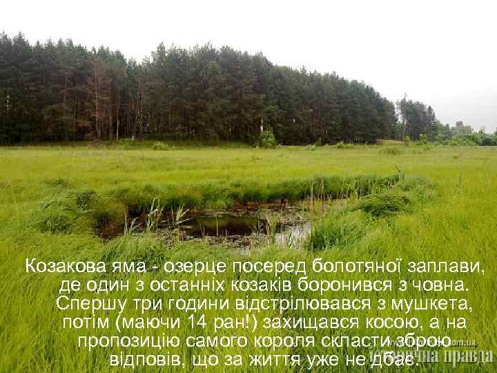 Козакова яма - озерце посеред болотяної заплави, де один з останніх козаків боронився з