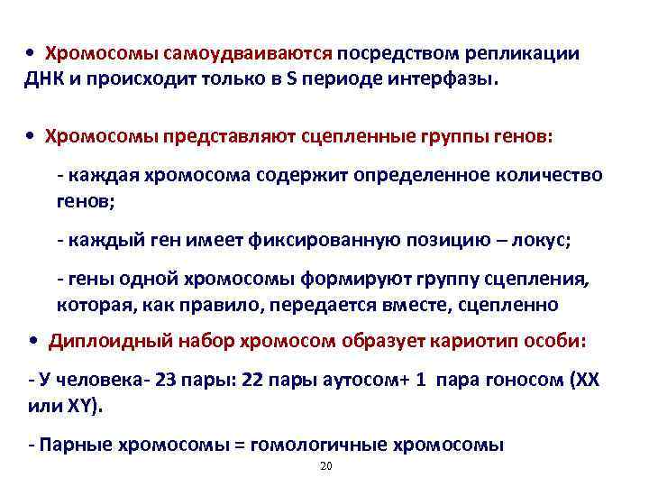  • Хромосомы самоудваиваются посредством репликации ДНК и происходит только в S периоде интерфазы.