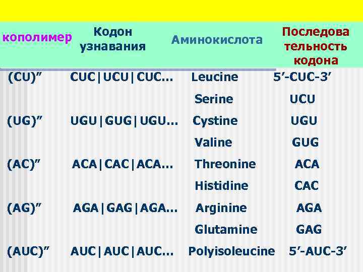 (CU)” Кодон узнавания Последова Аминокислота тельность кодона CUC|UCU|CUC… Leucine 5’-CUC-3’ кополимер Serine (AUC)” AGA|GAG|AGA…