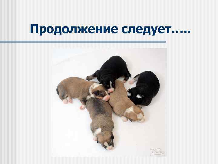 Продолжение следует…. . 