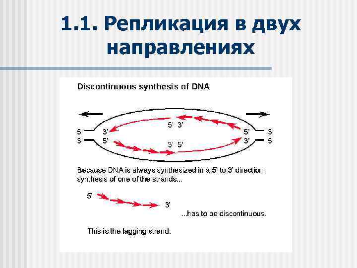 1. 1. Репликация в двух направлениях 