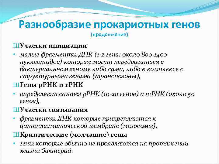 Разнообразие прокариотных генов (продолжение) ШУчастки инициации • малые фрагменты ДНК (1 -2 гена: около