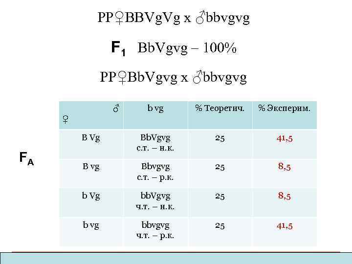 PP♀BBVg. Vg x ♂bbvgvg F 1 Bb. Vgvg – 100% PP♀Bb. Vgvg x ♂bbvgvg