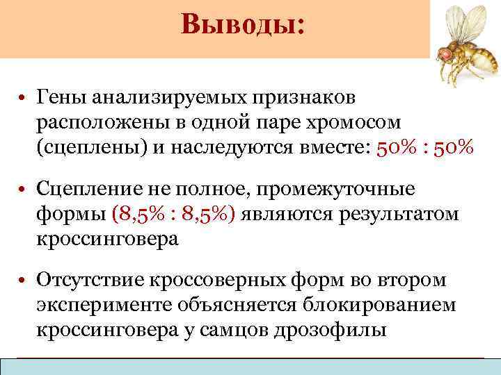 Выводы: • Гены анализируемых признаков расположены в одной паре хромосом (сцеплены) и наследуются вместе: