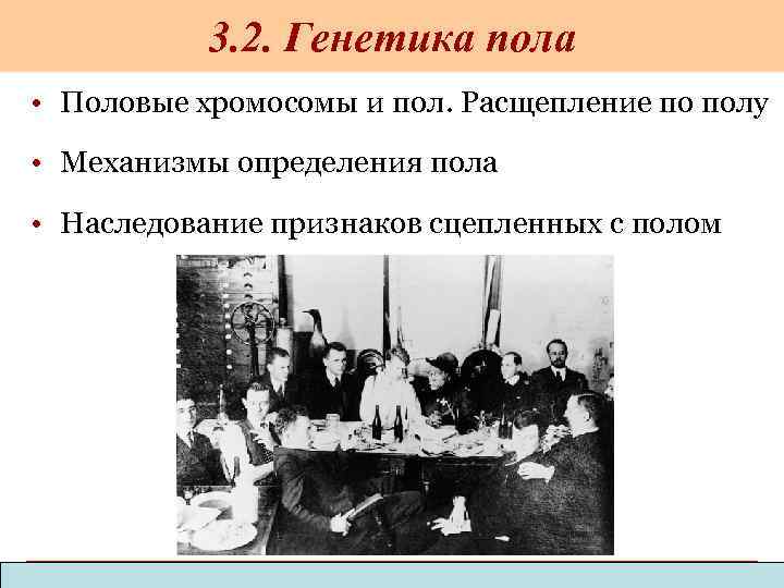 3. 2. Генетика пола • Половые хромосомы и пол. Расщепление по полу • Механизмы