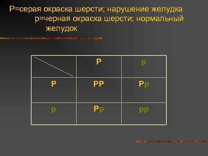 P=серая окраска шерсти; нарушение желудка p=черная окраска шерсти; нормальный желудок P p P PP