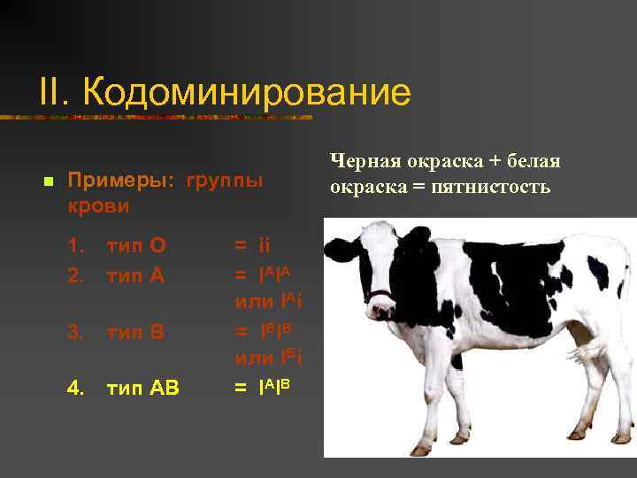 II. Кодоминирование n Примеры: группы крови 1. 2. тип O тип A 3. тип