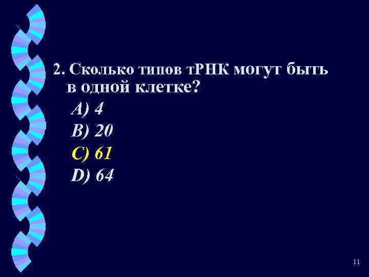 2. Сколько типов т. РНК могут быть в одной клетке? A) 4 B) 20