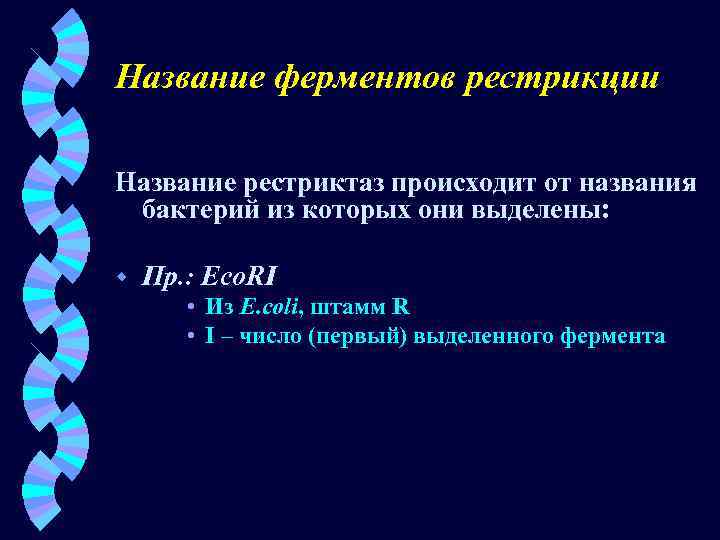 Название ферментов рестрикции Название рестриктаз происходит от названия бактерий из которых они выделены: w