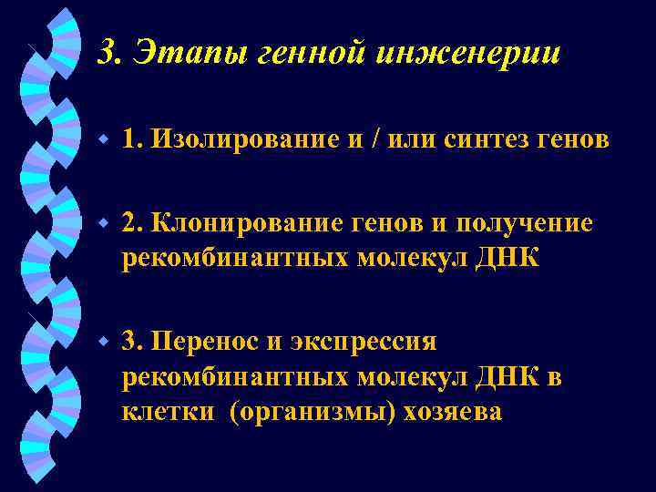 3. Этапы генной инженерии w 1. Изолирование и / или синтез генов w 2.