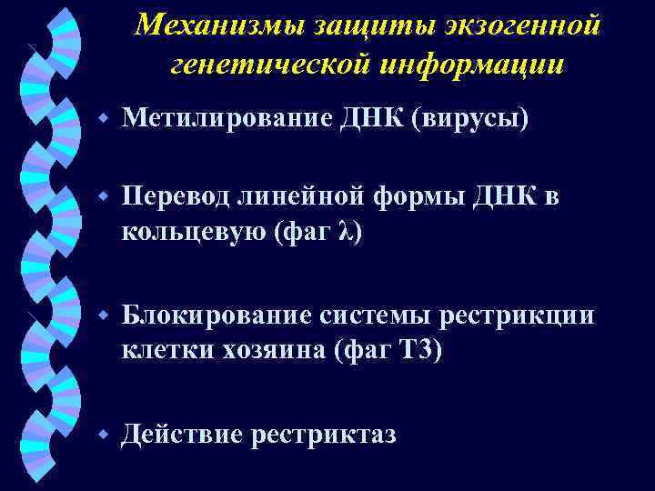 Механизмы защиты экзогенной генетической информации w Метилирование ДНК (вирусы) w Перевод линейной формы ДНК