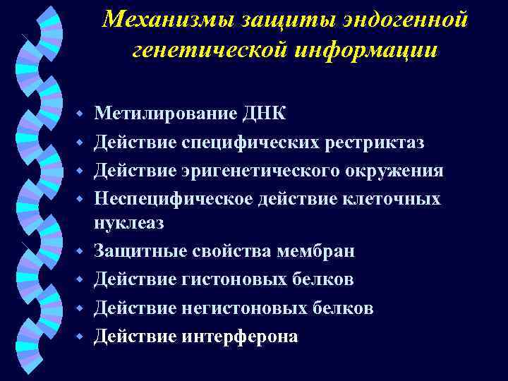 Механизмы защиты эндогенной генетической информации w w w w Метилирование ДНК Действие специфических рестриктаз