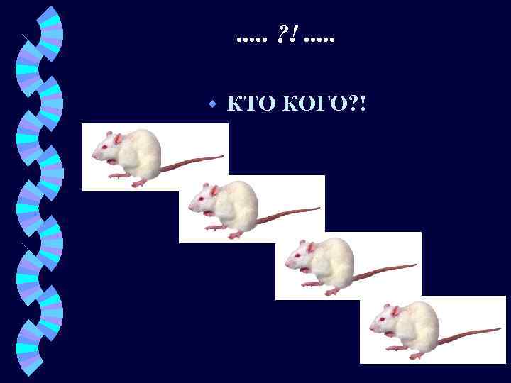 . . . ? !. . . w КТО КОГО? ! 