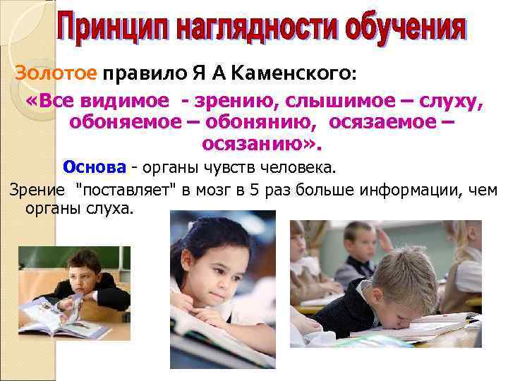  Золотое правило Я А Каменского: «Все видимое - зрению, слышимое – слуху, обоняемое