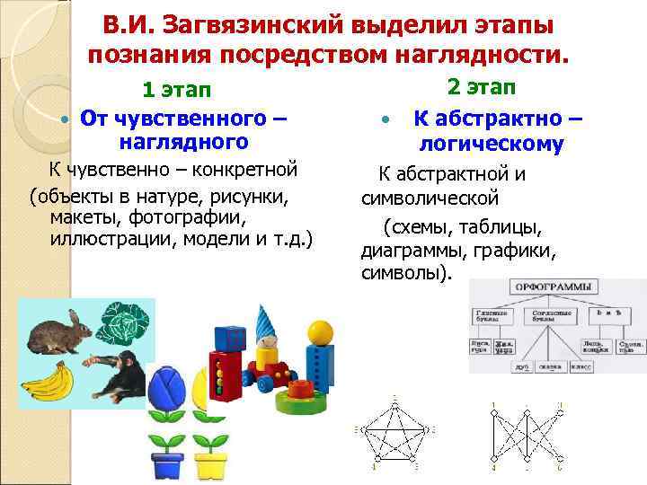 В. И. Загвязинский выделил этапы познания посредством наглядности. 1 этап От чувственного – наглядного