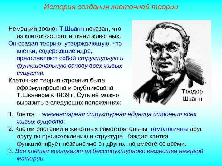 История создания клеточной теории Немецкий зоолог Т. Шванн показал, что из клеток состоят и