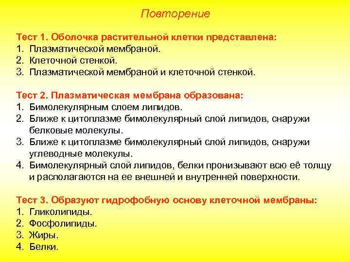 Повторение Тест 1. Оболочка растительной клетки представлена: 1. Плазматической мембраной. 2. Клеточной стенкой. 3.