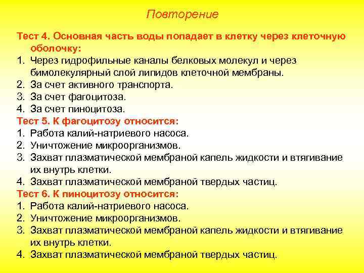 Повторение Тест 4. Основная часть воды попадает в клетку через клеточную оболочку: 1. Через