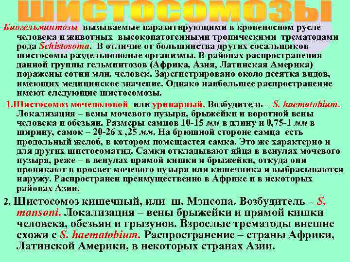 Биогельминтозы, вызываемые паразитирующими в кровеносном русле человека и животных высокопатогенными тропическими трематодами рода Schistosoma.