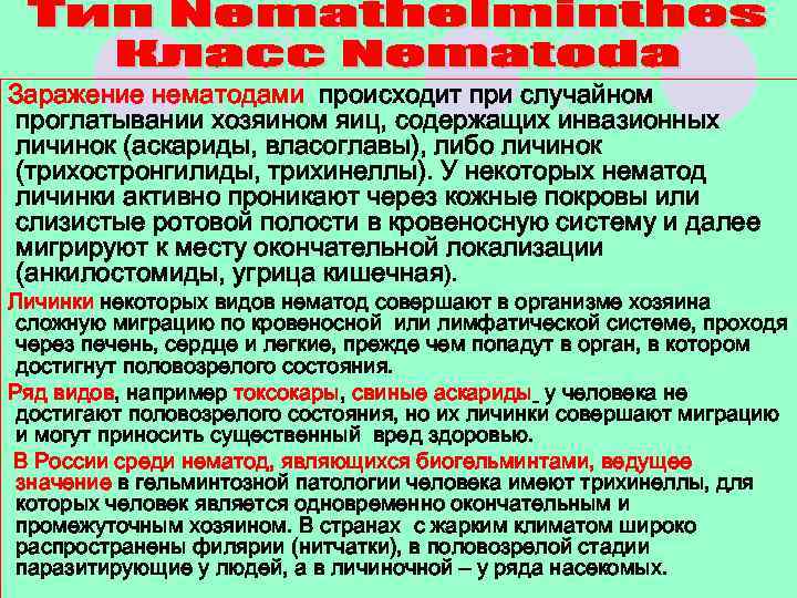 Заражение нематодами происходит при случайном проглатывании хозяином яиц, содержащих инвазионных личинок (аскариды, власоглавы), либо