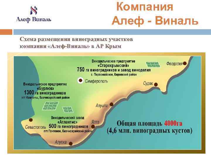  Компания Алеф - Виналь Схема размещения виноградных участков компании «Алеф-Виналь» в АР Крым