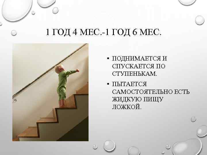 1 ГОД 4 МЕС. -1 ГОД 6 МЕС. • ПОДНИМАЕТСЯ И СПУСКАЕТСЯ ПО СТУПЕНЬКАМ.