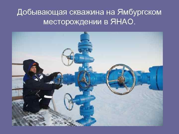 Добывающая скважина на Ямбургском месторождении в ЯНАО. 