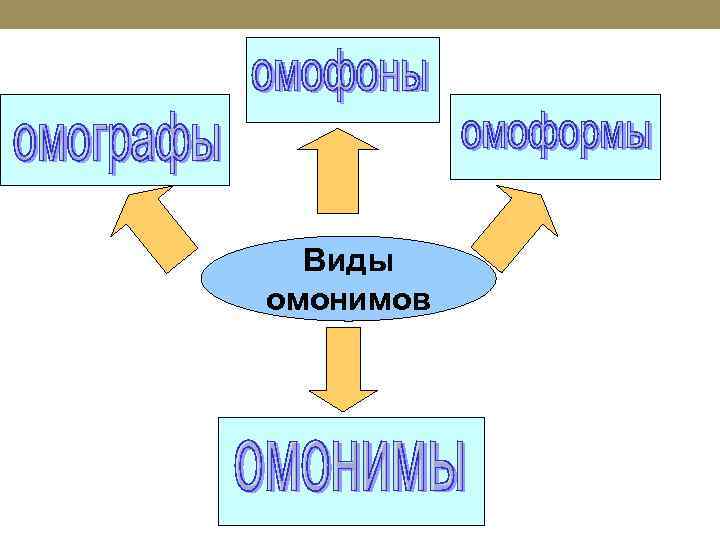 Виды омонимов 