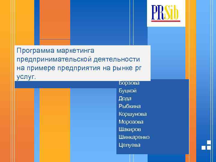 Программа маркетинга предпринимательской деятельности на примере предприятия на рынке pr услуг. Борзова Буцкой Дода