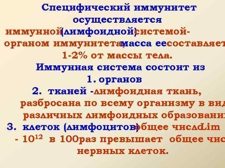 Специфический иммунитет осуществляется иммунной (лимфоидной) системойорганом иммунитета, масса еесоставляет 1 -2% от массы тела.