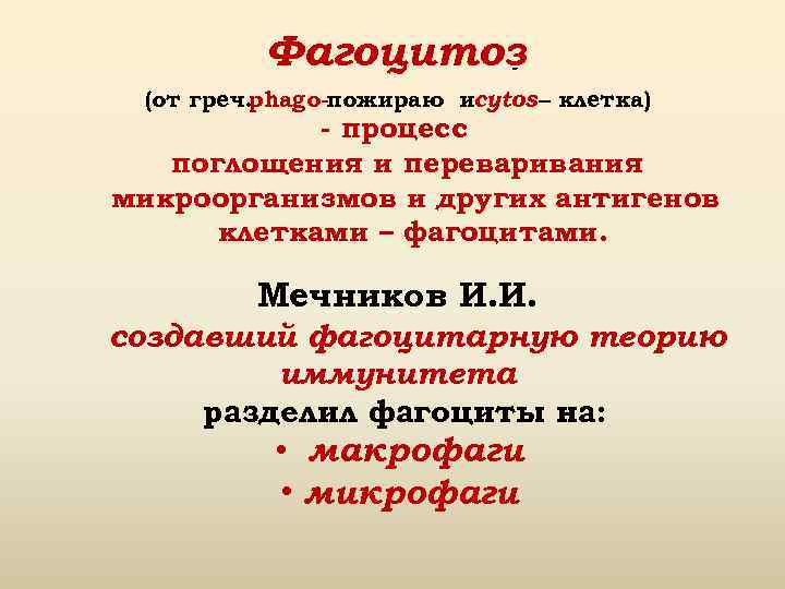 Фагоцитоз - (от греч. phago-пожираю иcytos – клетка) - процесс поглощения и переваривания микроорганизмов
