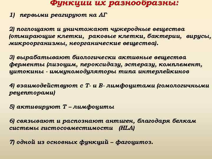 Функции их разнообразны: 1) первыми реагируют на АГ 2) поглощают и уничтожают чужеродные вещества