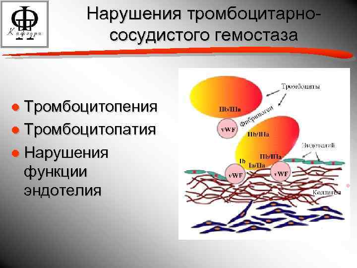 Патофизиология гемостаза презентация