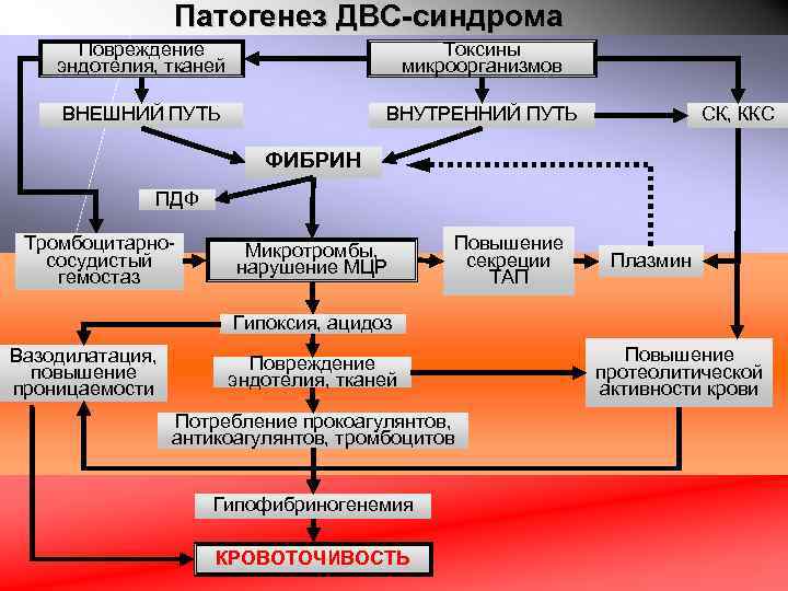 Патофизиология гемостаза презентация