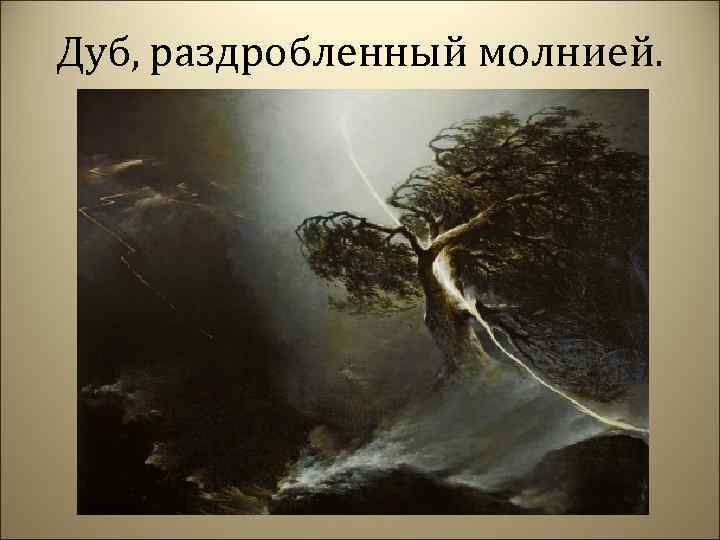 Дуб, раздробленный молнией. 