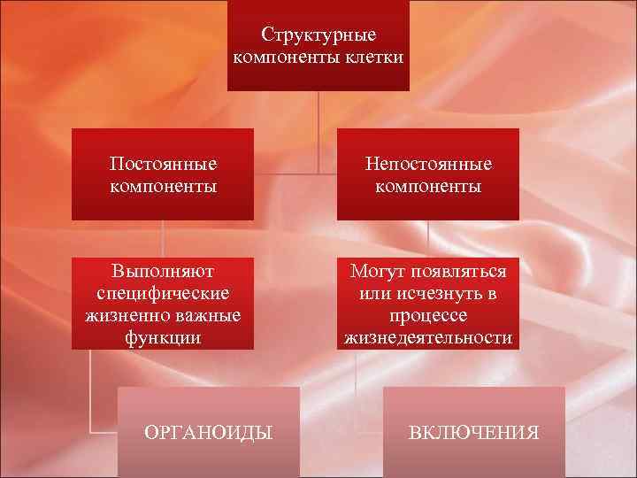 Структурные компоненты клетки Постоянные компоненты Непостоянные компоненты Выполняют специфические жизненно важные функции Могут появляться
