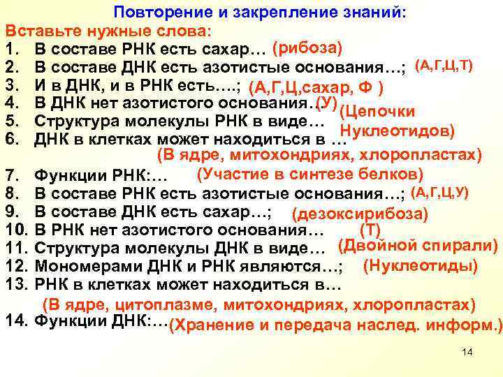 Повторение и закрепление знаний: Вставьте нужные слова: 1. В составе РНК есть сахар… (рибоза)