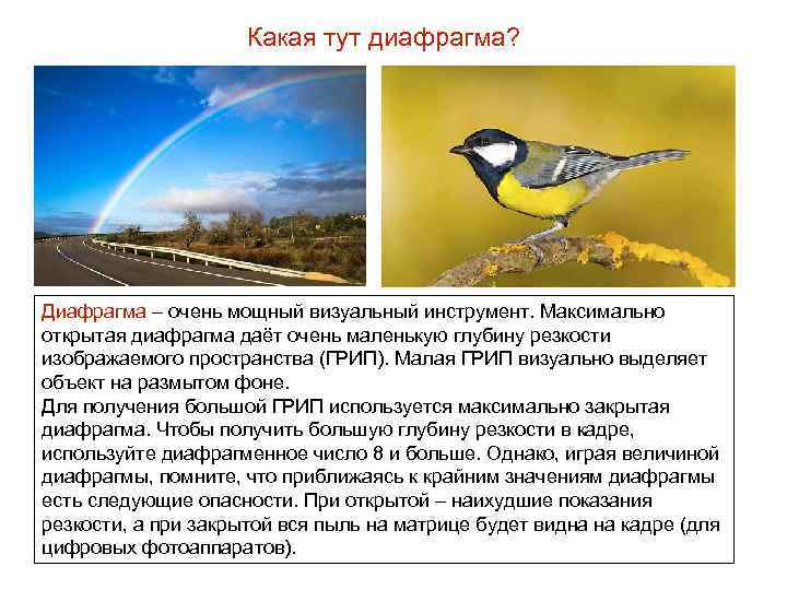 Какая тут диафрагма? Диафрагма – очень мощный визуальный инструмент. Максимально открытая диафрагма даёт очень