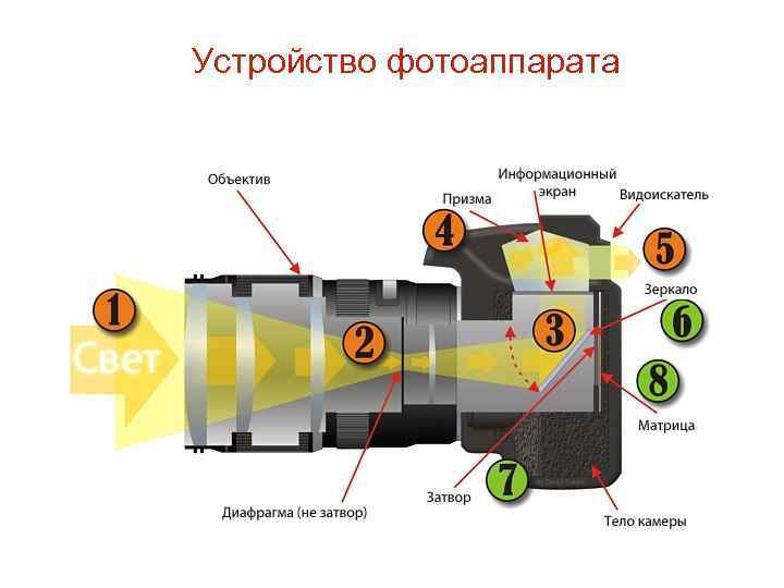 Как с пленочного фотоаппарата перенести фото на компьютер через usb