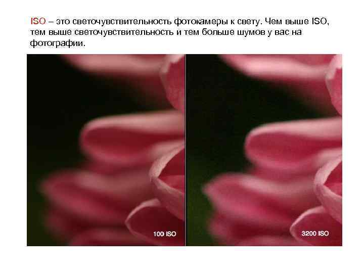 ISO – это светочувствительность фотокамеры к свету. Чем выше ISO, тем выше светочувствительность и