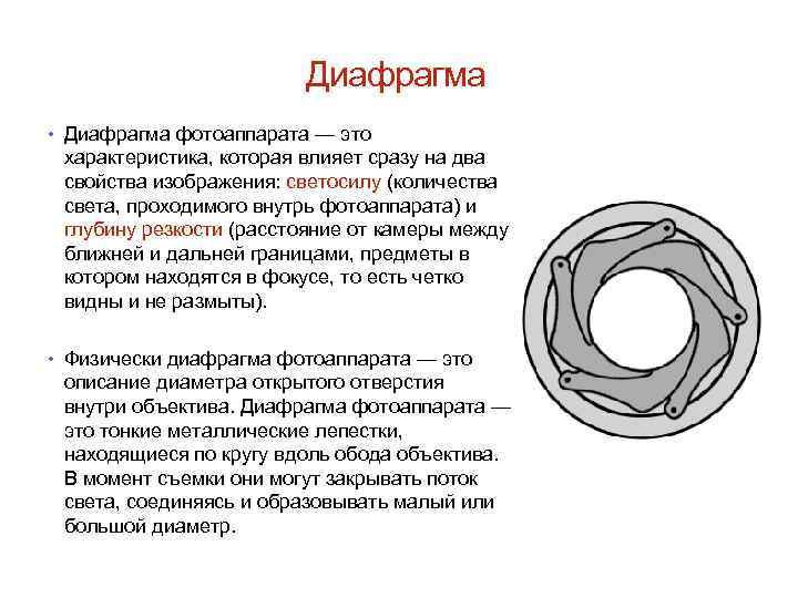 Диафрагма • Диафрагма фотоаппарата — это характеристика, которая влияет сразу на два свойства изображения: