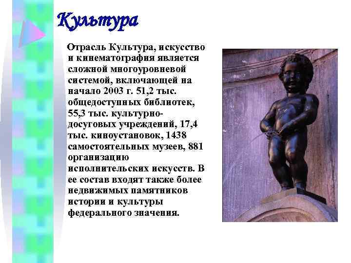 Культура Отрасль Культура, искусство и кинематография является сложной многоуровневой системой, включающей на начало 2003